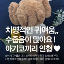 로이체 수줍은 아기코끼리 애착 인형] 후기 ✿ܓ (조카선물추천/힐링템/애착템/감성템/아이선물/키덜트)