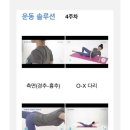 내포체형관리 이미지