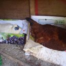 가곡천흙과돌 이미지