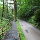 양지펜션 이미지