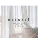 굳잠 이미지