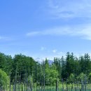 서운신목장 이미지