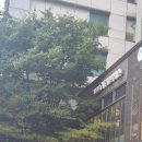 힐링바디필라테스 | 가성비좋은 마포필라테스 바디멀티필라테스에서 수업받고온후기