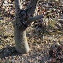 영후농장 이미지