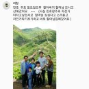 장암최강체육관 이미지