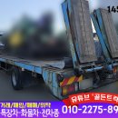 현대셀프