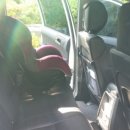 펫드라이브 이미지