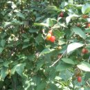 서산고향집 이미지