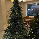 거제제일고등학교 | [경남 거제 | 수나로이] 거제 브런치 맛집, 거제 유럽풍 카페, 거제 카페 추천