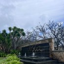 오성프라스틱 | 나트랑 미아 리조트 숙박 후기 리셉션과 자연 친화적인 객실