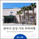 피규어뮤지엄 제주 소요시간 및 5살과 60대 방문 찐 후기(마블·스타워즈에 온 가족 판타지 감성 폭발)