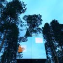 트리하우스 이미지