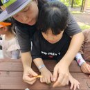 한가람어린이집 이미지