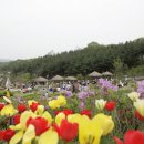 더 봄 이미지