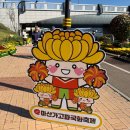 전남서부항운노동조합 | 마산가고파국화축제 주차장팁,국화포토존,야경,먹거리