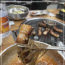 우물안의 숙성돼지 돈꿉자 영천점 네이버블로그
