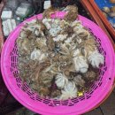 영운 상23호(비13) | 소래포구 알쭈꾸미 1kg 시세 태산호 후기 오류동양념집 샤브샤브 솔직 후기