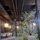 윤수연 팜스스파 이미지