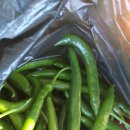 효림농장 이미지