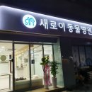 더독 동물병원 티스토리