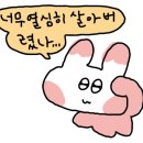 던킨 안성의료원점 이미지