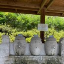 뒷골참샘 이미지