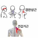 기생한의원 이미지