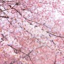 이브앤아담여성의원 이미지