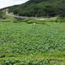 곰내추어탕 이미지