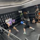 WS복싱클럽(성산점) 네이버블로그