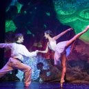 비바츠LED 태권발레 이미지