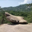 (제192차) 6월27일 토요일 (천태산) 정기산행 (리딩:산사내 총괄대장) 이미지
