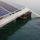 자연의 경고 무시한 새만금 수상 태양광 프로젝트! 이미지
