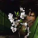 홍콩반점0410낙성대역점 이미지