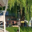 동산남성 이미지