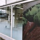 샤브드림 이미지