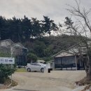 위드유 펜션 | 태안 안면도 펜션 - 안면도위드유펜션 내돈내산 숙박후기[I룸/바베큐]