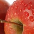 기장숯불갈비 이미지