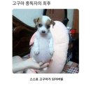 가야카병원 이미지