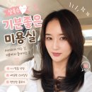 전의미용실 | 본오동미용실 상록수기분좋은미용실 뿌리매직 후기