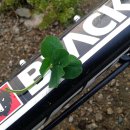 한잎클로버 이미지