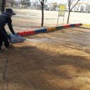 해안초교병설 이미지