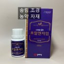 쏘일엔자임 사용 후기1 / 영양제 / 쏘일엔자임 / 식물 효소 영양제 / 뿌리를 튼튼하게 / 생육 증진 식물...