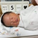 미즈맘 테라피