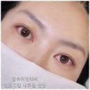 더래쉬뷰티