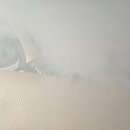 국민카세차장 이미지