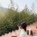 발레나식스 이미지