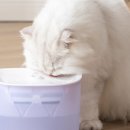 주식회사 페페 이미지