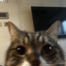 또, 안경 이미지