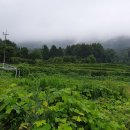 통영등대낚시공원 이미지